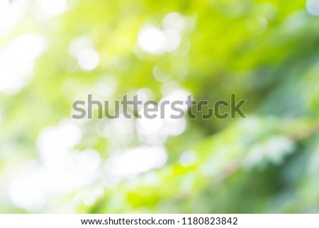 Blur Image of Green light bokeh nature background