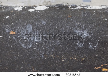 Raindrops on the asphalt