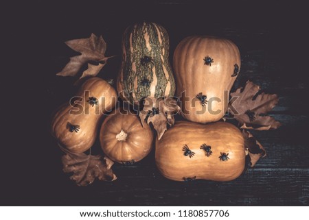 Halloween holiday background with pumpkins and black spiders on a dark wooden table. Close-up natural reddish pumpkins on vintage boards for Halloween celebration.Flat lay Top view