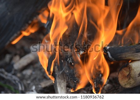 beach campfire picture