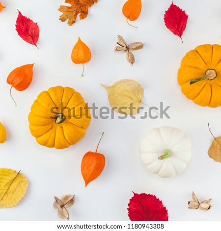 Creative Top view flat lay autumn composition. Pumpkins dried orange flowers leaves background pattern copy space. Square Template fall harvest thanksgiving halloween anniversary invitation cards