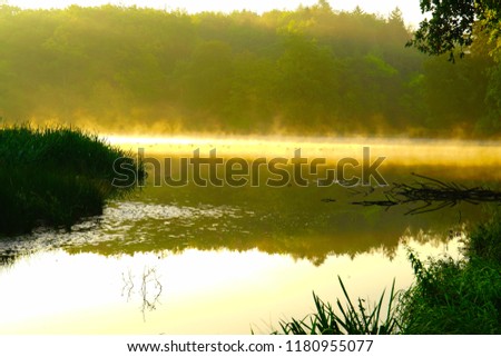 Misty sunny autumn morning at Stirin Park lake