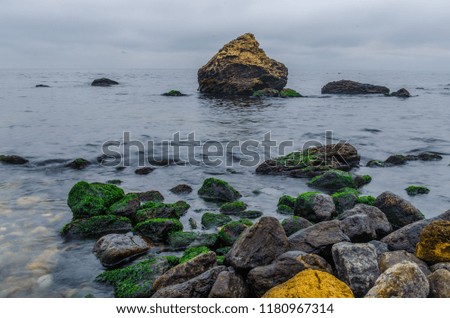 The photo of the stone on the beach on the long exposure