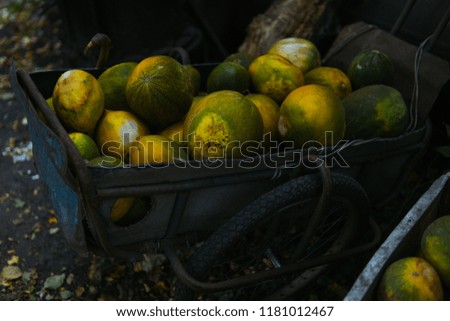 A cart full of melons for sale in Russian village.
