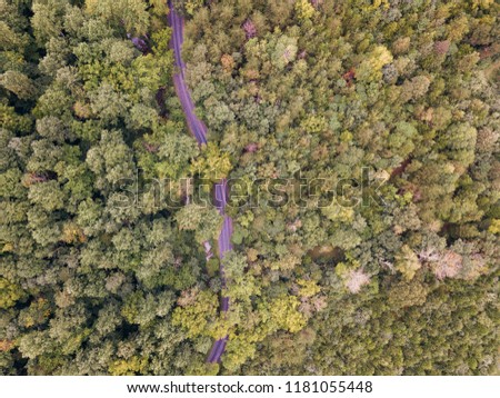 Image of forest and road from the view of a drone