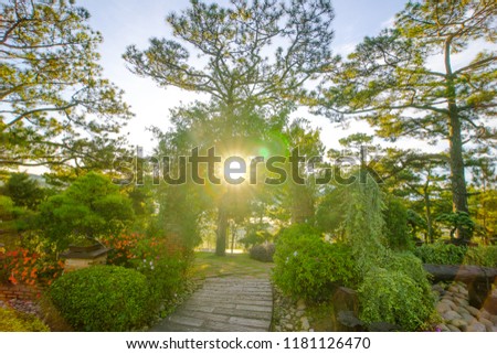 The Japanese garden in Valley of Love- thung Lung tinh yeu, in the sun shine of the morning in Dalat- Lam dong - Viet nam