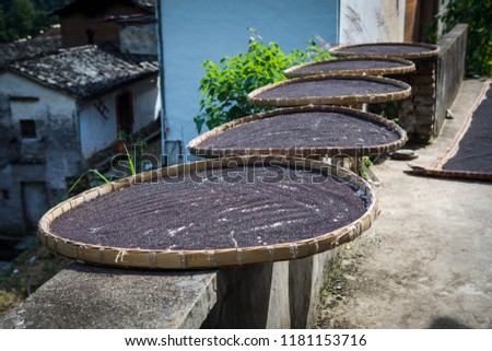 Drying of rape seeds at Yangchan Village