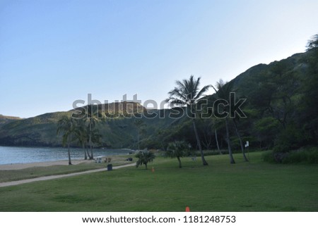 Hanuama bay beach and park in Hawaii USA 