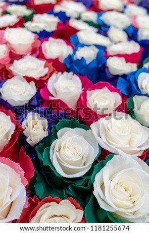 Large multi-colored roses.