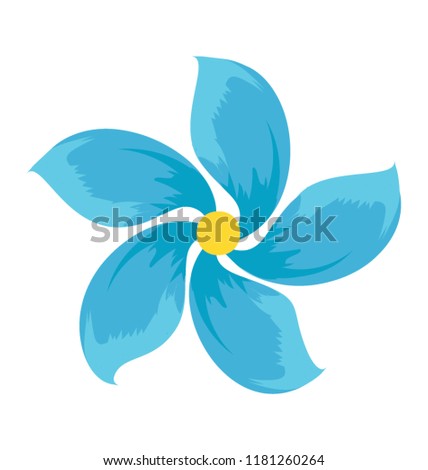 
A beautiful generic anemone flower
