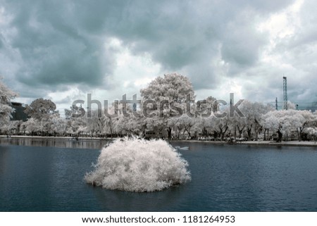 infrared picture of tree and canal