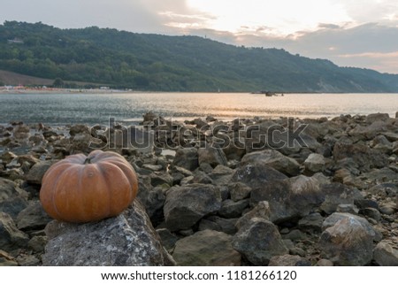 pumpkin on the rock at sunset in the adriatic sea representing italian halloween