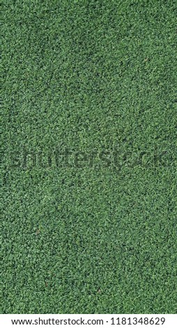 Green grass field, soccer field
