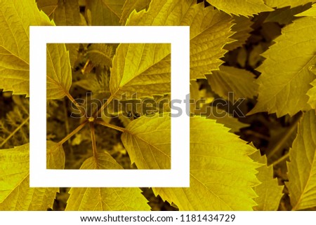 green leaves as a backdrop and a white sheet of paper for the label.