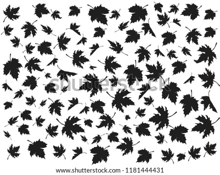 black maple seamless pattern vector background
