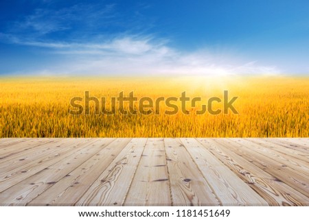 Perspective brown wooden board empty table in front of paddy field or rice field in morning time with sunlight on background - can be used for display or montage your products.Mock up for display of p Royalty-Free Stock Photo #1181451649