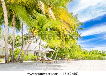 Beautiful Maldives beach