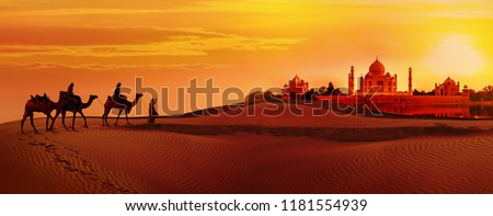 Panoramic view of Taj Mahal during sunset. Camel caravan going through the desert. India Royalty-Free Stock Photo #1181554939