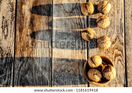 Harvest walnuts in the garden on wooden boards.