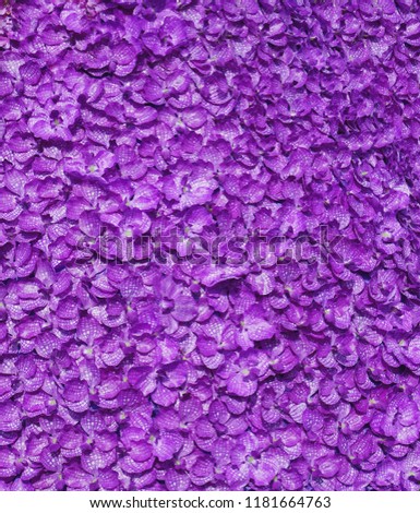 Frame of artificial fabric orchid flower, violet pink tone, for wallpaper writing background.