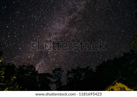 Starry sky and Milky Way