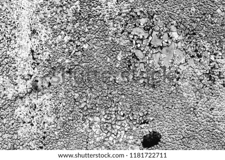 Texture of peeling paint from metal. Abstract background for design. Monochrome.