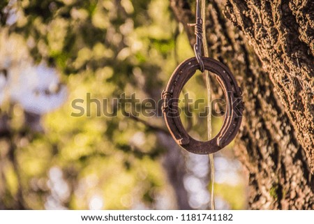Horseshoe hanging on a tree with colorful and blurred vegetation background