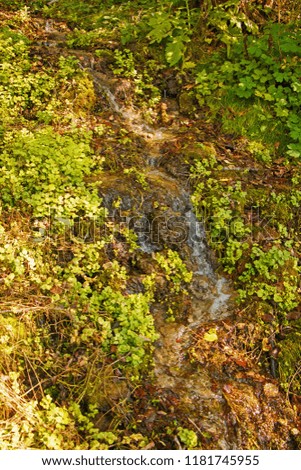 Beautiful small natural waterfall in a rugged forest area.