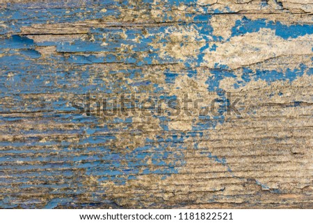 Old blue wooden background in detail