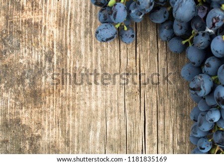 Bunch of ripe grapes on grey wooden background