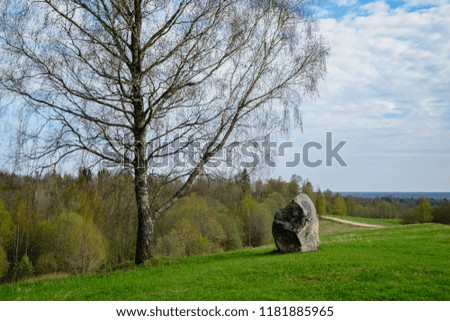 single tree in spring with no leaves isolated in green meadow against blue sky