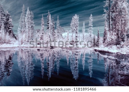 Infrared trees reflecting in a mountain pond