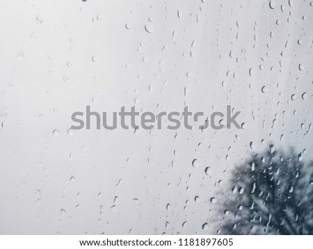 Water drops on clear glass and Tree background 