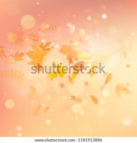 Autumn composition with maple leaves. EPS 10