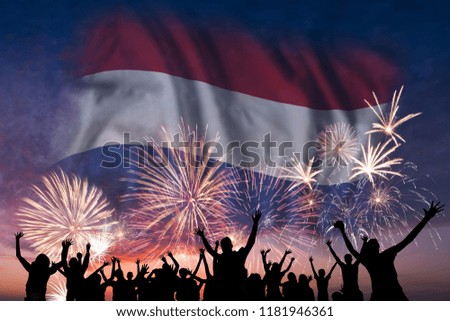 Happy people are looking holiday fireworks with flag of Netherlands in sky, independence day