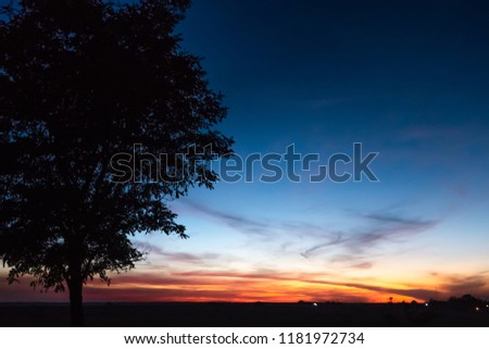 idyllic sunset in the field . sunset sky dark tree