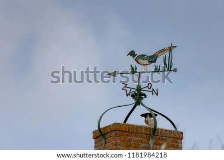 An old Dutch metal weather vane bird with blue sky background.