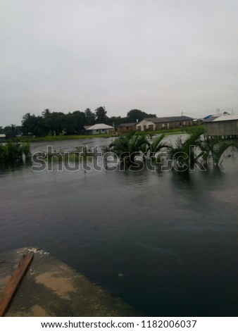The Niger Delta Terrain-swampy, cool and natural environment to behold.
