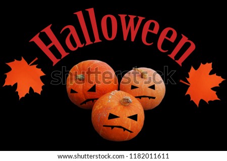  three juicy ripe pumpkins isolated on a black background                               
