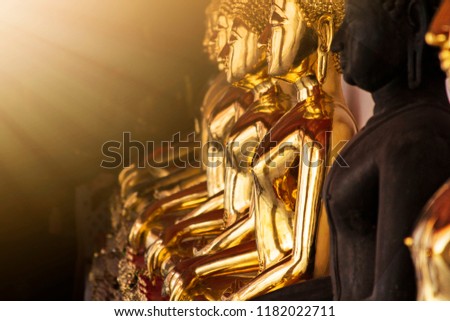 single row of golden buddhas in Thailand with rays of light and one dark buddha
