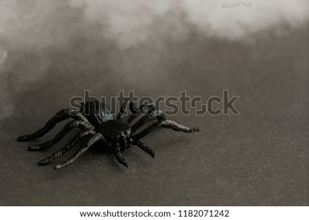 Black rubber spider toy on paper background with white smoke. Dark halloween october concept. Front view
