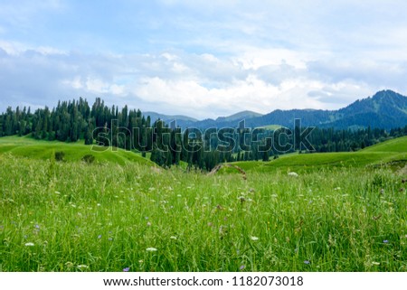 China Xinjiang Nalati Valley Grassland