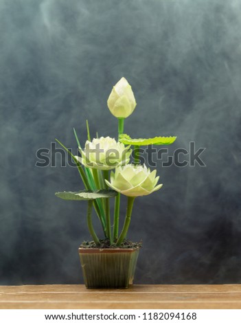 Bouquet of Lotus in a pot.black background and smoke.