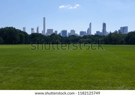 new york central park green grass blue sky skyline trees 