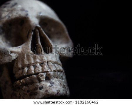 Close-up human skull with dark background. Death concept. Spooky halloween symbol horror style with copy spce.