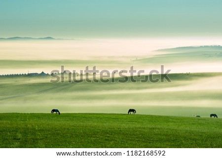 The morning air of Hulunbuir grassland of China.