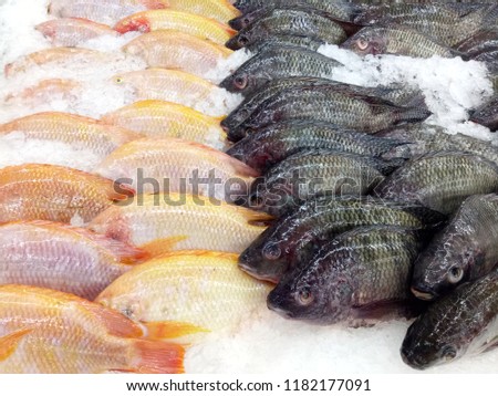 The fish in the market 