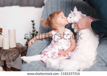 Adorable little girl sitting on the chair at cozy home apartment and kissing a cat. Little girl having fun with kitten