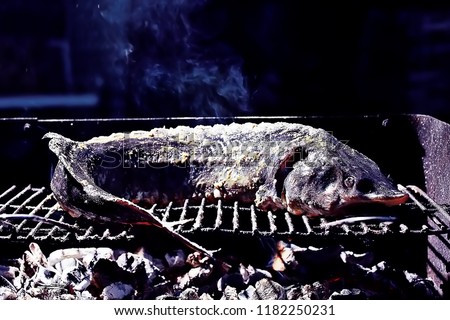 sturgeon grill / large sturgeon fish cooked on the grill, on coals with smoke, sterlet smoked