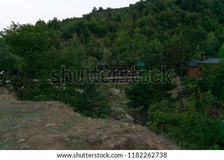 Living area in mountainous village. Evening view in the forest